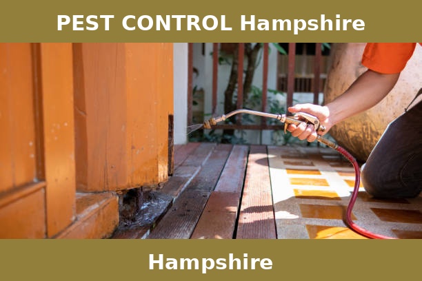 PEST CONTROL Hampshire